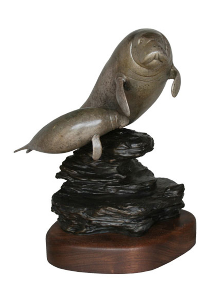 manatees1
