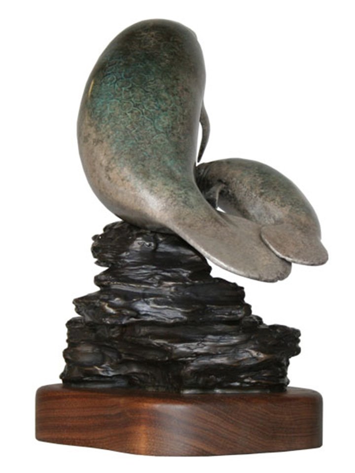 manatees3