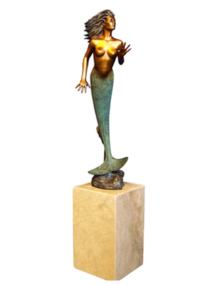 mer9-1